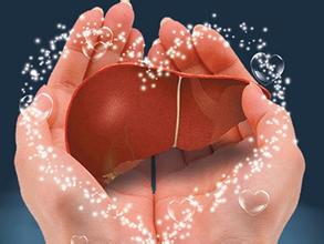 �҇�(gu��)֬���Ըβ������ЬF(xi��n)���c�\�Ό�(du��)��